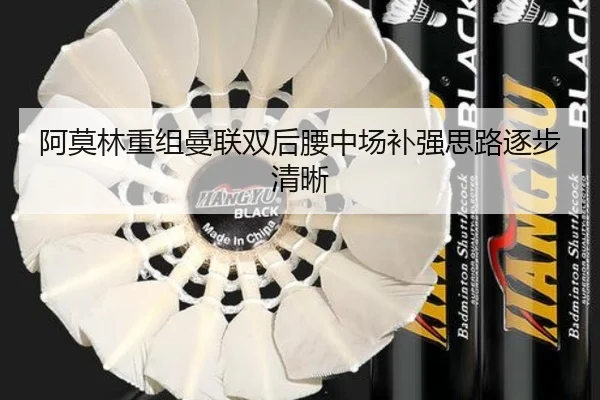 阿莫林重组曼联双后腰中场补强思路逐步清晰